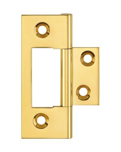 BRASS_FLUSH_HINGE_0985.jpg